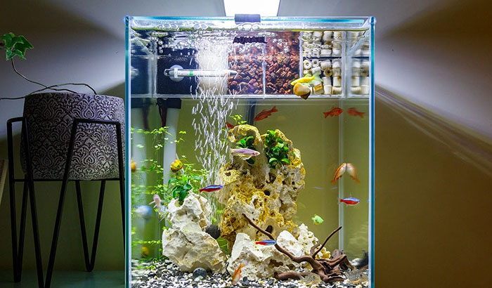aquariumfilter